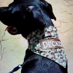 COPY - Dog Bandanas, Embroidered, reversible, with hidden pockets!